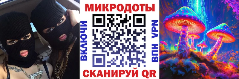 Псилоцибиновые грибы Psilocybe  Ковдор 